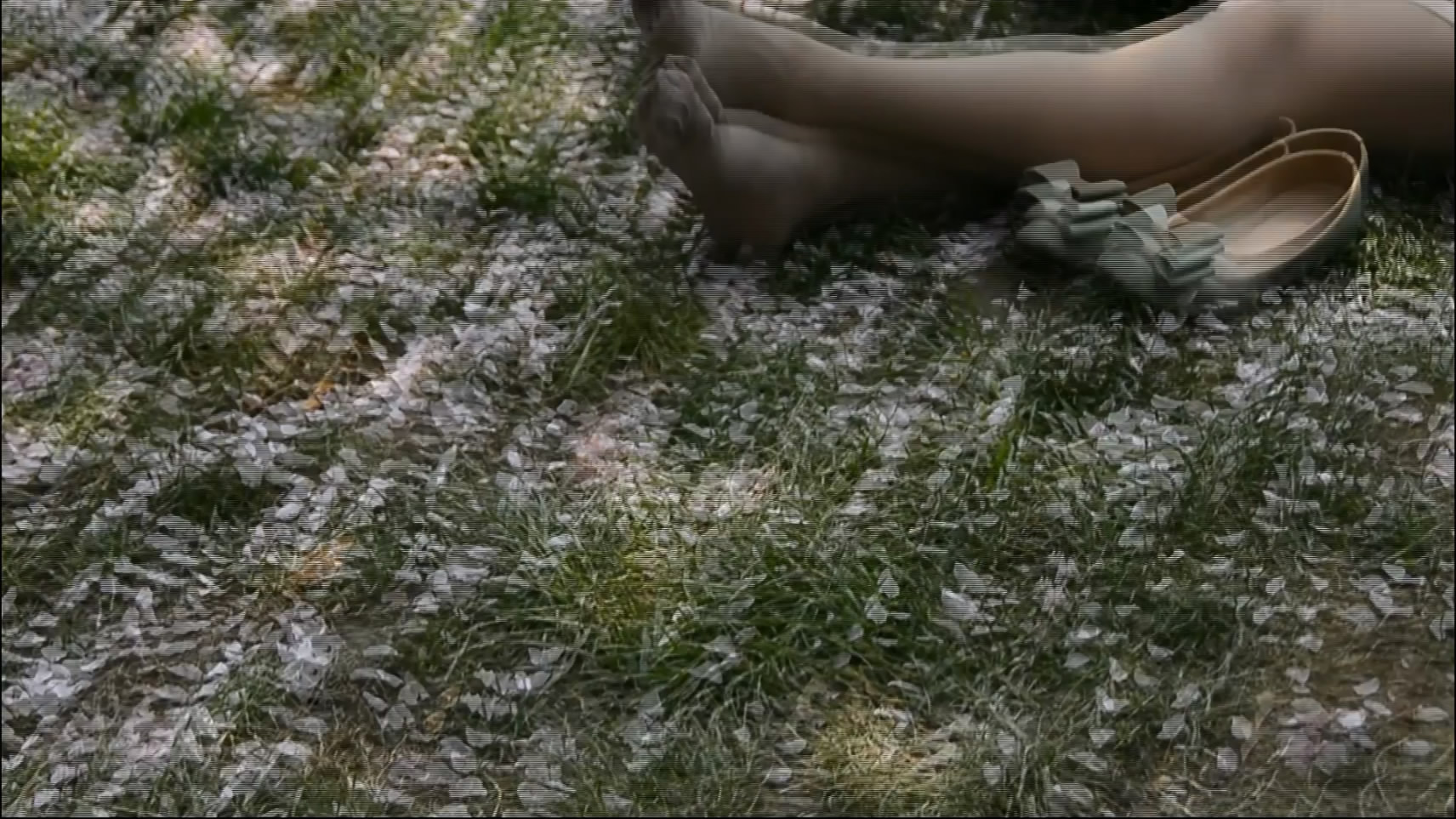 streetsnapnylon[00 00 12][20181203 223546 2]